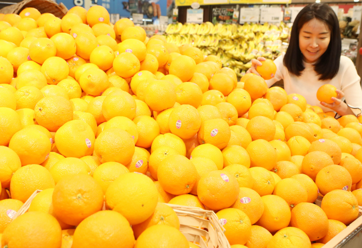 ▲18일 롯데마트 서울역점에서 고객이 '카라카라 오렌지'를 구경하고 있다.  (롯데마트)
