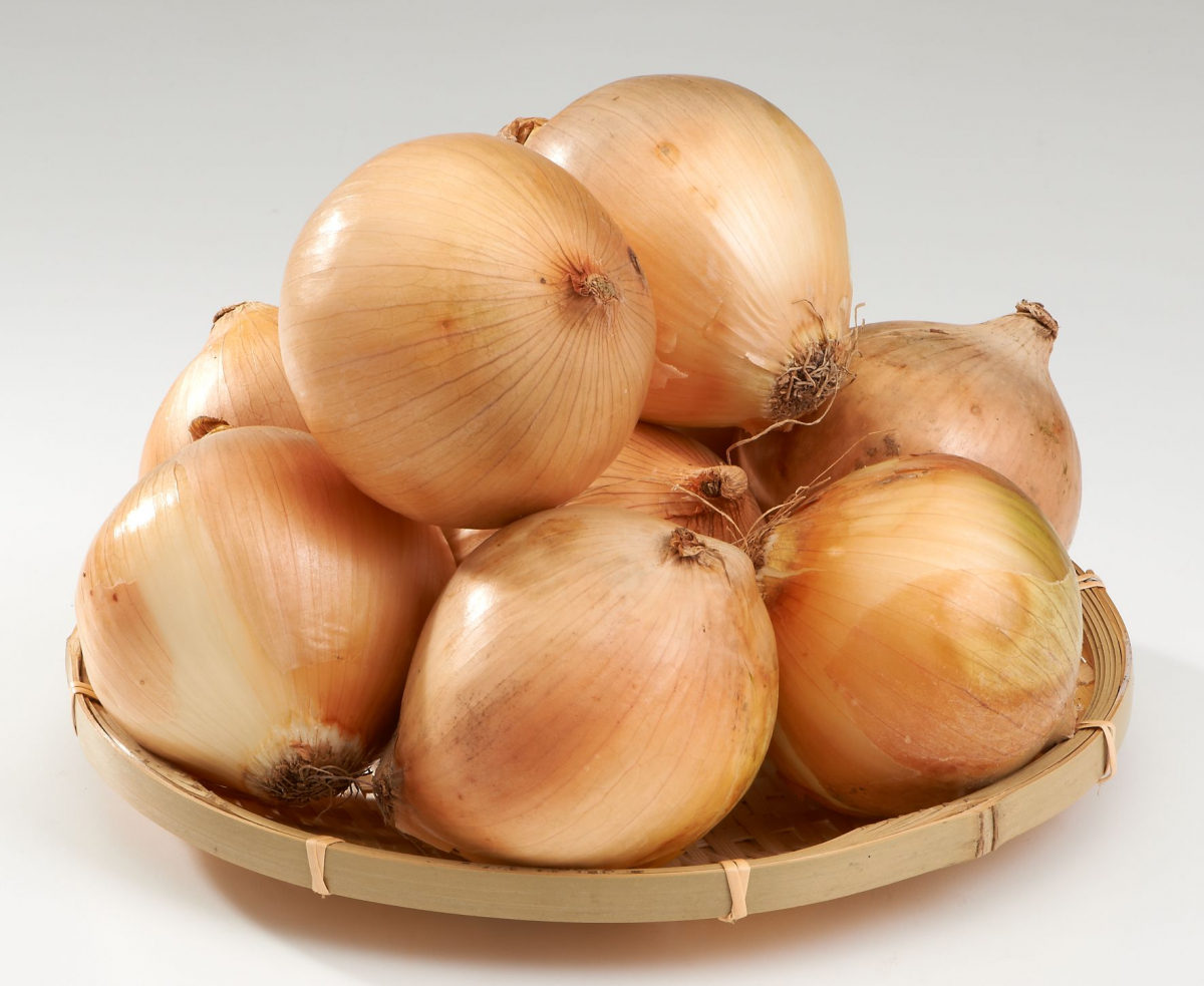 (사진제공=롯데마트)