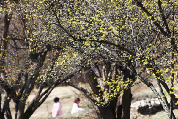 (사진=연합뉴스)