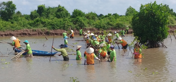 ▲SK이노베이션 임직원들이 베트남 짜빈성 롱칸 지역에서 맹그로브 숲 복원사업 자원봉사활동을 펼치고 있다. 사진제공 SK그룹