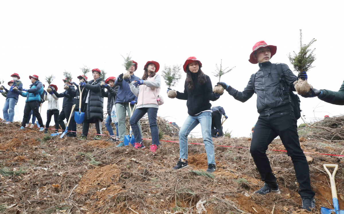 ▲유한킴벌리 신혼부부 나무심기.(사진제공=유한킴벌리)
