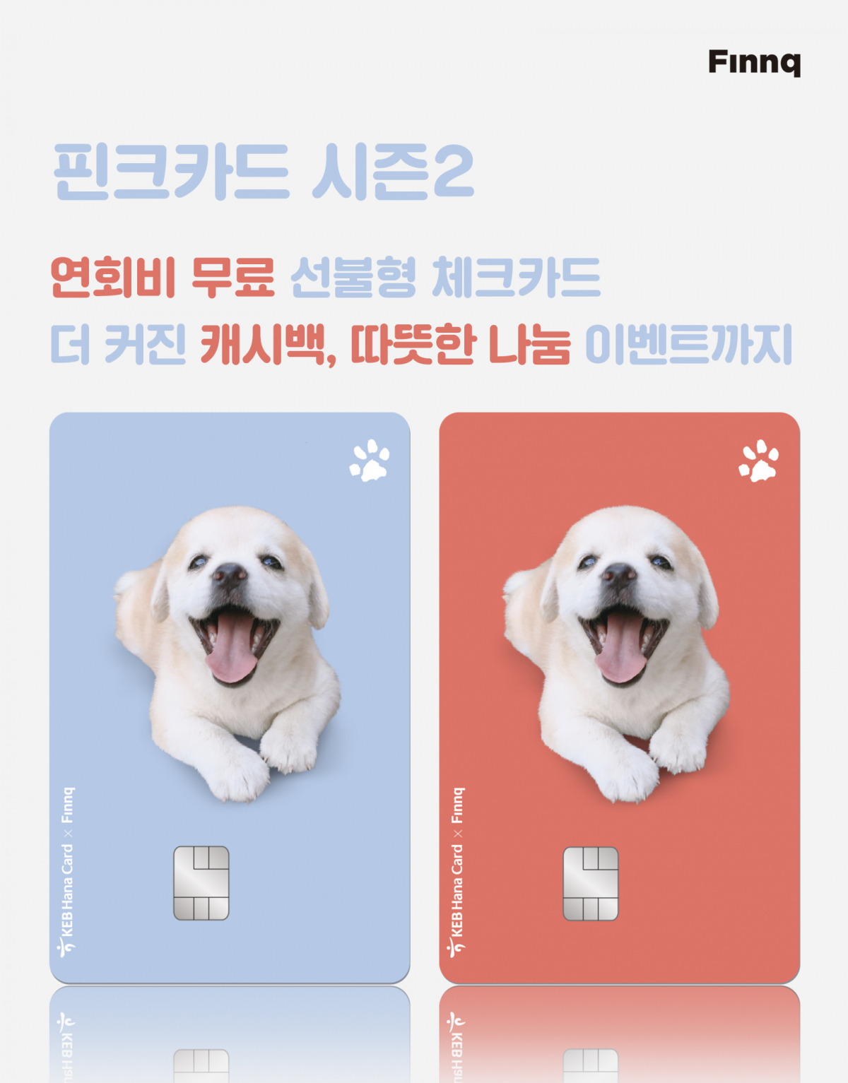 (사진제공=핀크)