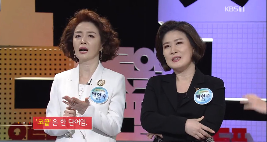 (출처=KBS1 '우리말 겨루기' 방송캡처)