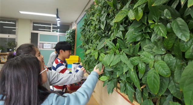 ▲빌레나무를 시범적으로 보급한 서울 삼양초등학교 교실(환경부)
