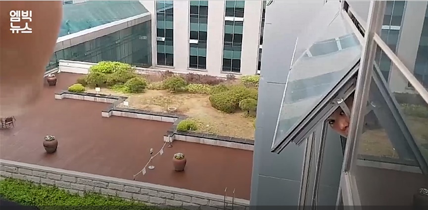 ((출처=MBC 엠빅뉴스 영상 캡처))