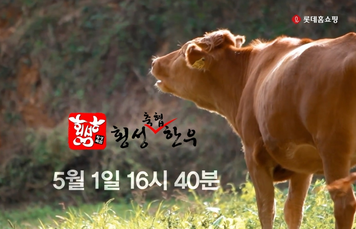 ▲롯데홈쇼핑에서 판매하는 횡성축협 한우(롯데홈쇼핑)