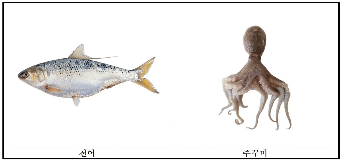 ▲전어와 주꾸미.(출처=해양수산부)