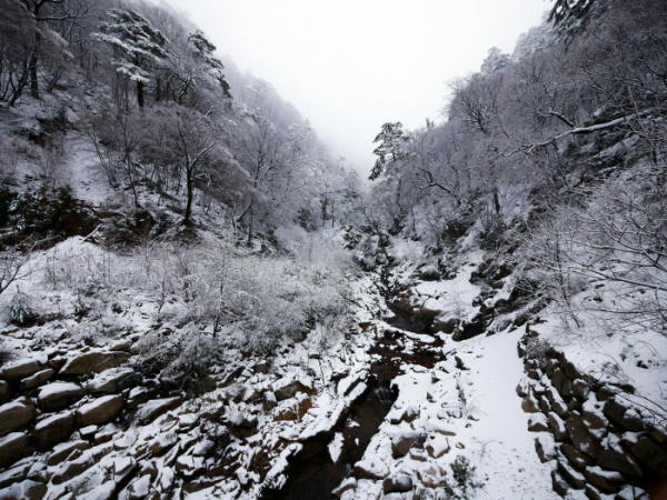 ▲강원 산간에 눈이 내린 10일 한계령에 겨울 모습이 연출되고 있다. (연합뉴스)