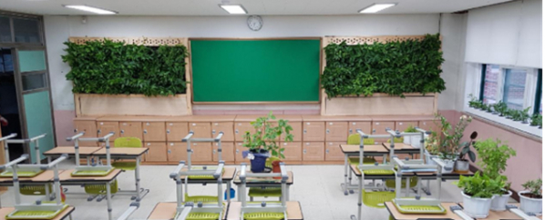 ▲빌레나무를 시범적으로 보급한 서울 삼양초등학교 교실(환경부)