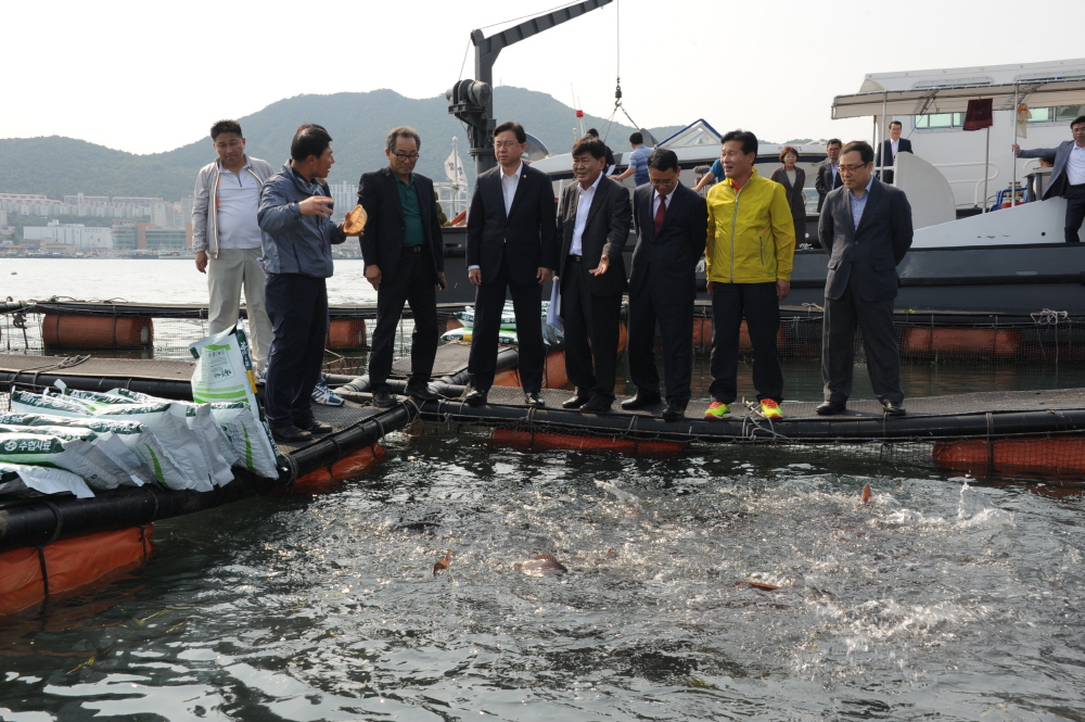 ▲가두리양식장 전경.(출처=해양수산부)