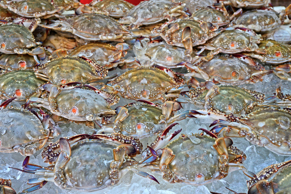 ▲요즘은 꽃게가 제철이다.