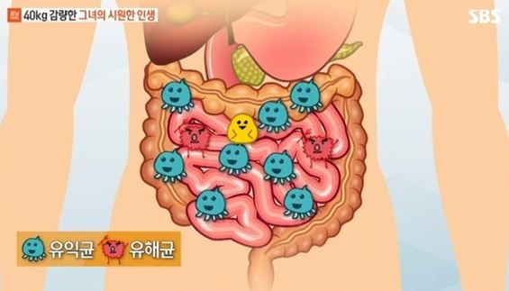 (출처=SBS 방송화면 캡처)