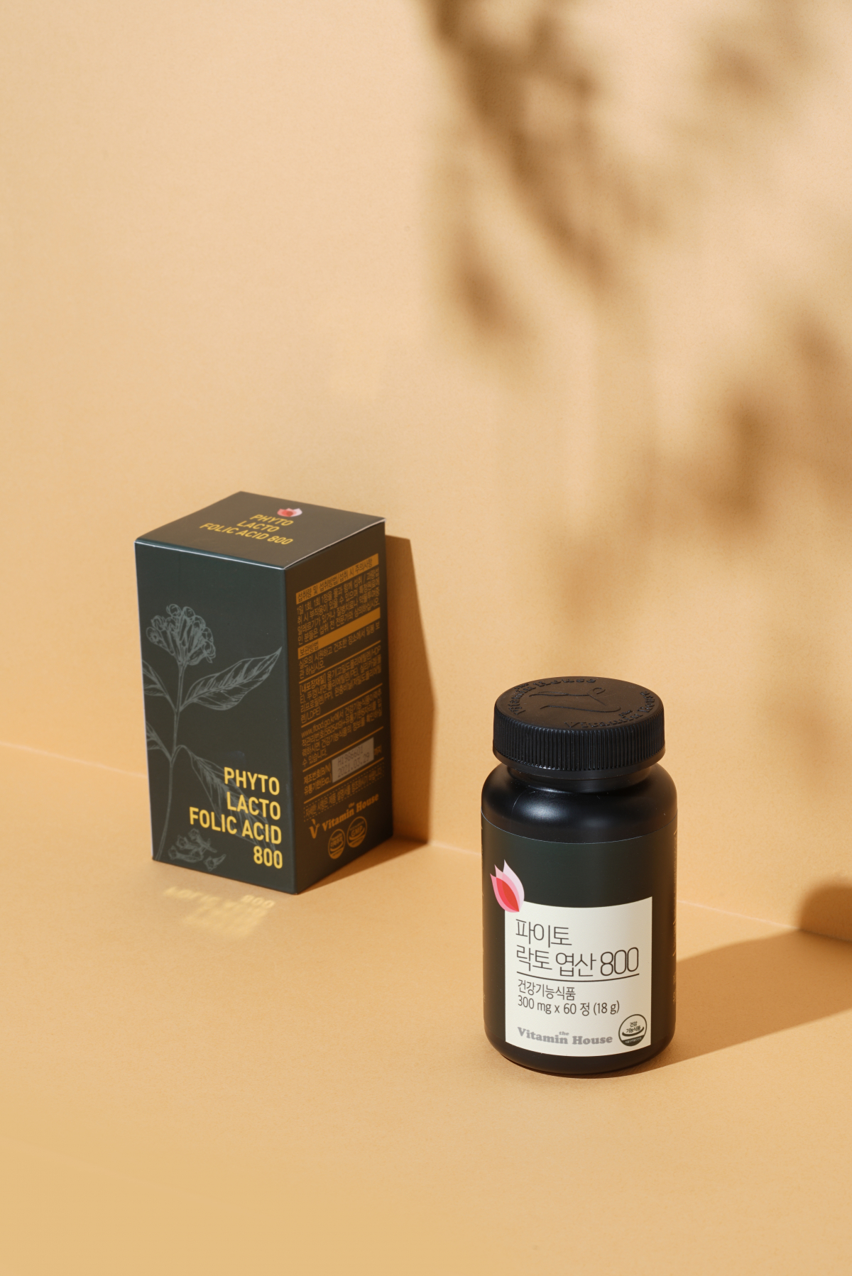 ▲비타민하우스, ‘파이토 락토 엽산 800’ 출시(비타민하우스)