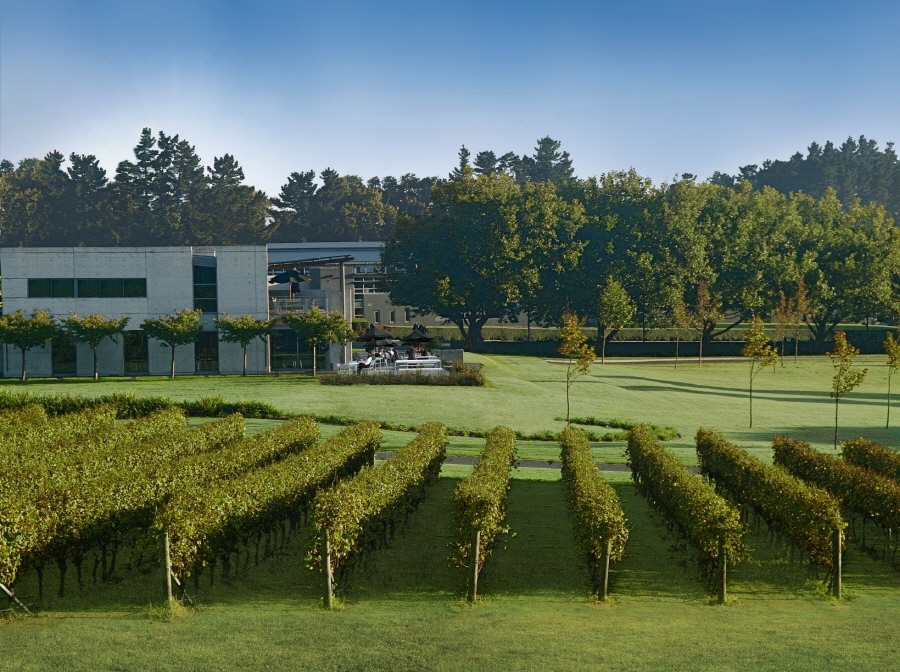 ▲오클랜드의 '빌라 마리아 이스테이트'.