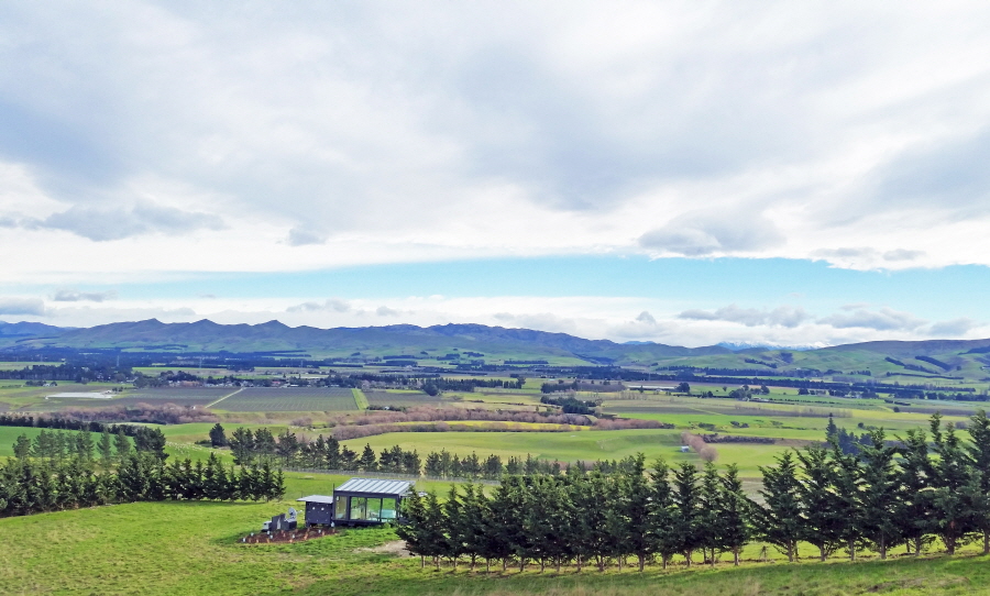 ▲그레이스톤 퓨어포드.