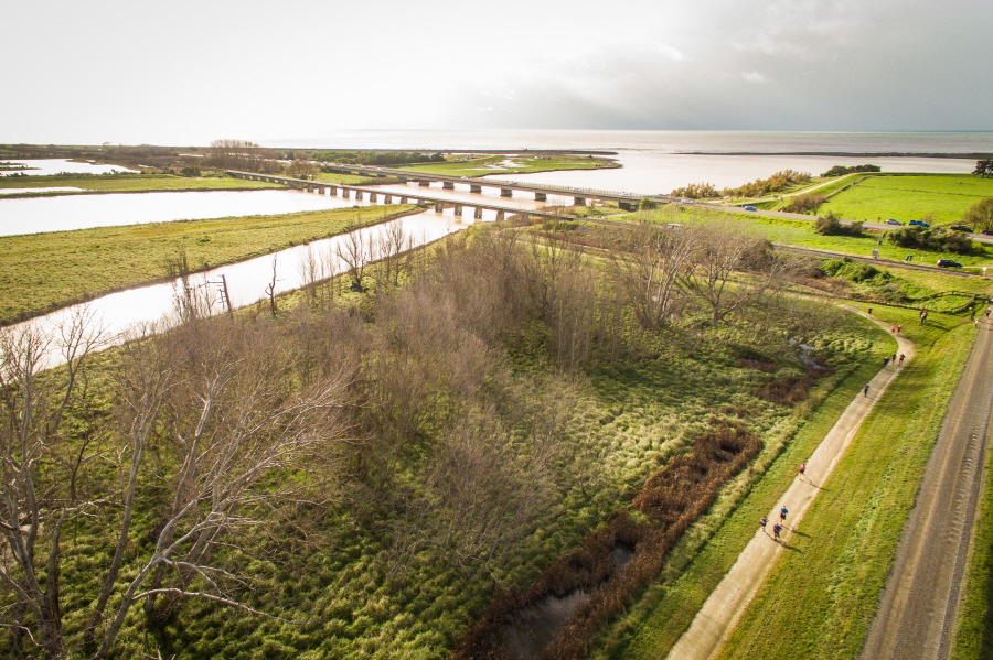 ▲뉴질랜드 '혹스베이 인터내셔널 마라톤'.