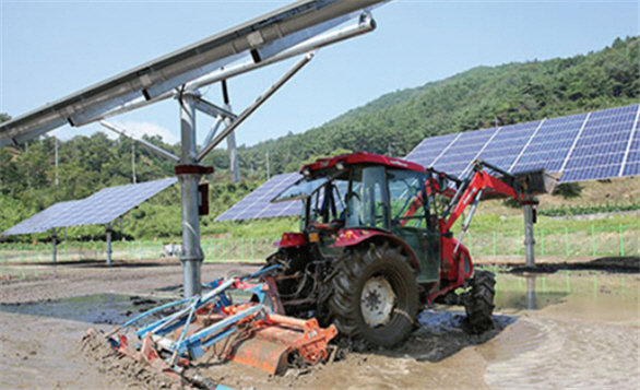 ▲추적식 영농형 태양광 발전 시설 모습(사진 제공=한국서부발전)