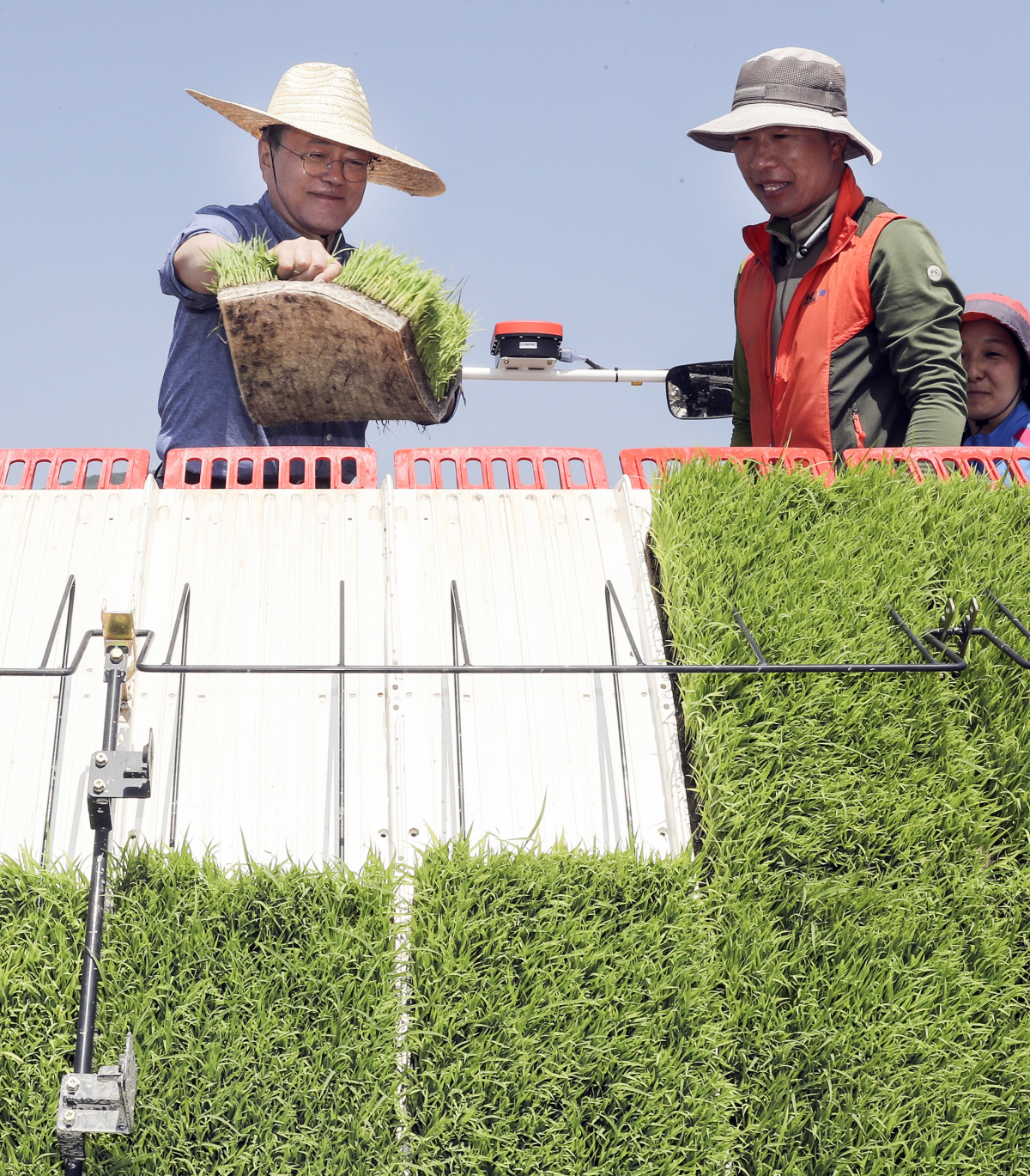 ▲문재인 대통령이 24일 오전 경북 경주시 옥산마을을 방문, 모내기하기 위해 모판을 이앙기에 싣고 있다. (연합뉴스)