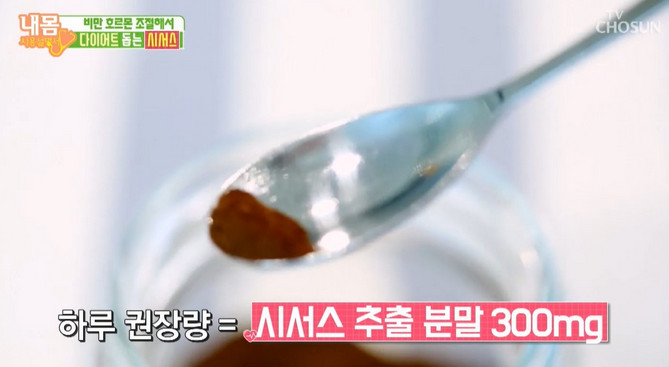 (출처=TV조선 '내몸 사용설명서')