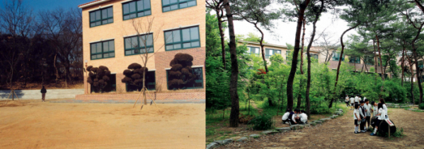 ▲서울 화랑초 1999년 학교숲 시범학교 전(왼쪽)과 2005년 학교숲 운동 후(오른쪽)의 모습.(사진제공=유한킴벌리)