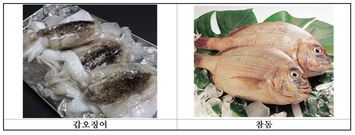 ▲6월의 수산물로 선정된 갑오징어와 참돔.(출처=해양수산부)