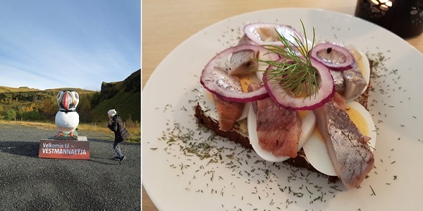 ▲아이슬란드의 상징 '퍼핀'(좌), 생선을 얹은 아이슬란드의 전통 샌드위치(우)(이화자 작가 제공)