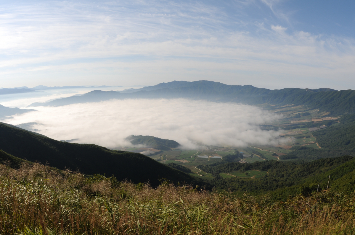 ▲강원 양구군 해안면 DMZ 펀치볼 모습(사진 제공=산림청)