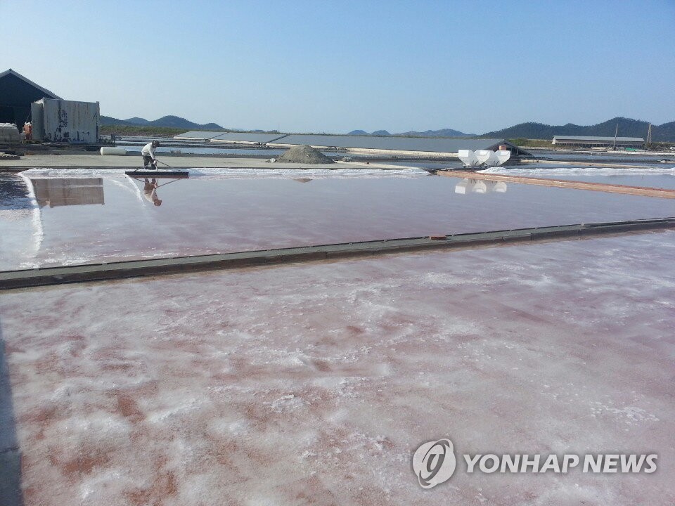 ▲천일염 염전 전경.(연합뉴스)