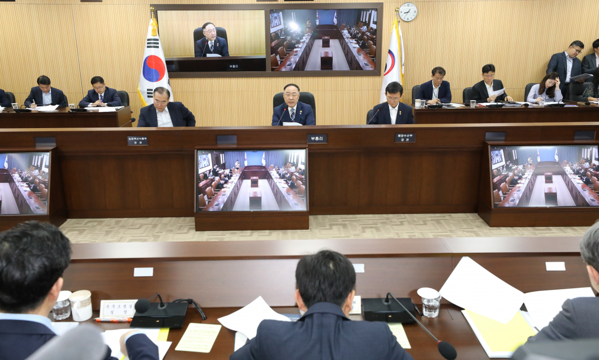 ▲홍남기 부총리 겸 기획재정부 장관이 12일 정부세종청사에서 경제활력대책회의을 주재하고 있다. 2019.06.12. (뉴시스)