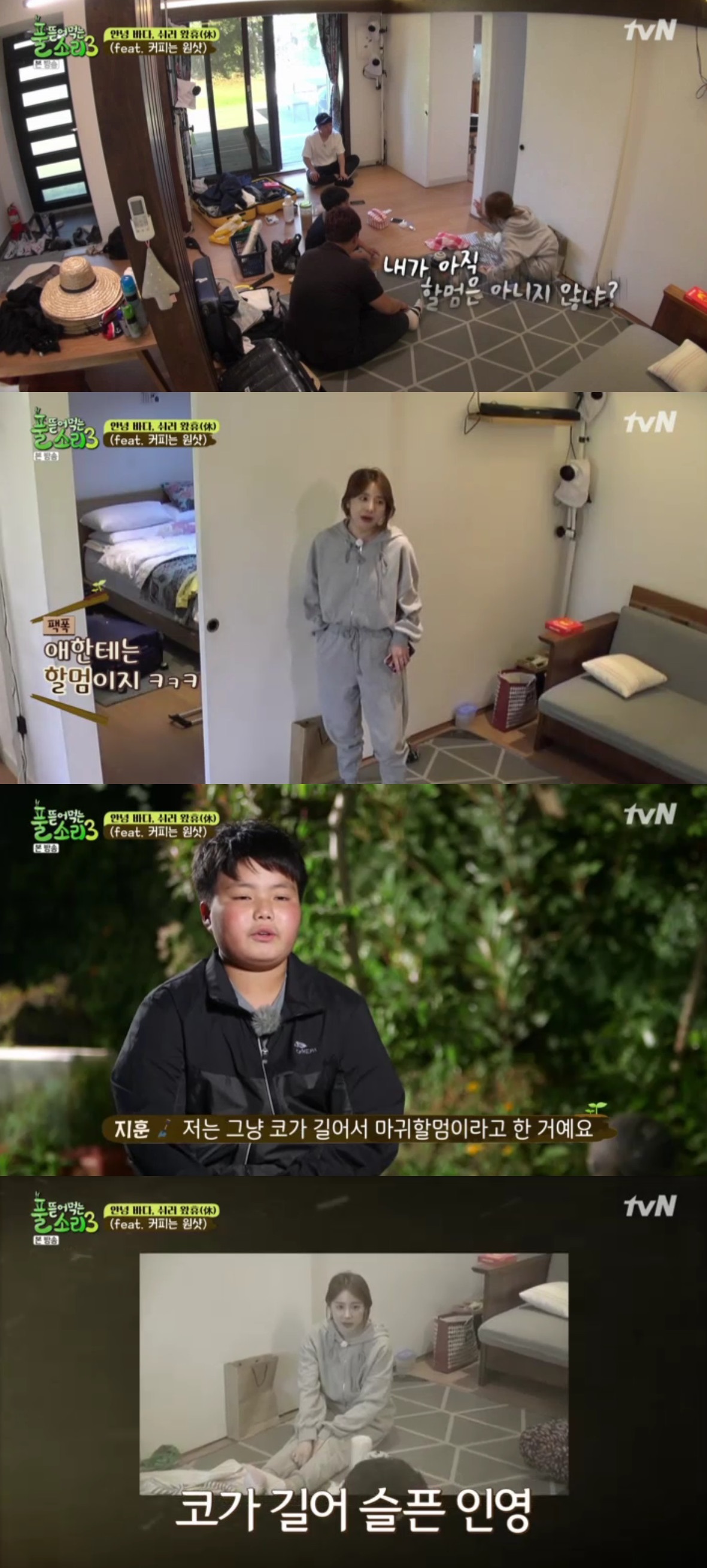 (출처=tvN '풀 뜯어먹는 소리3' 방송캡처)