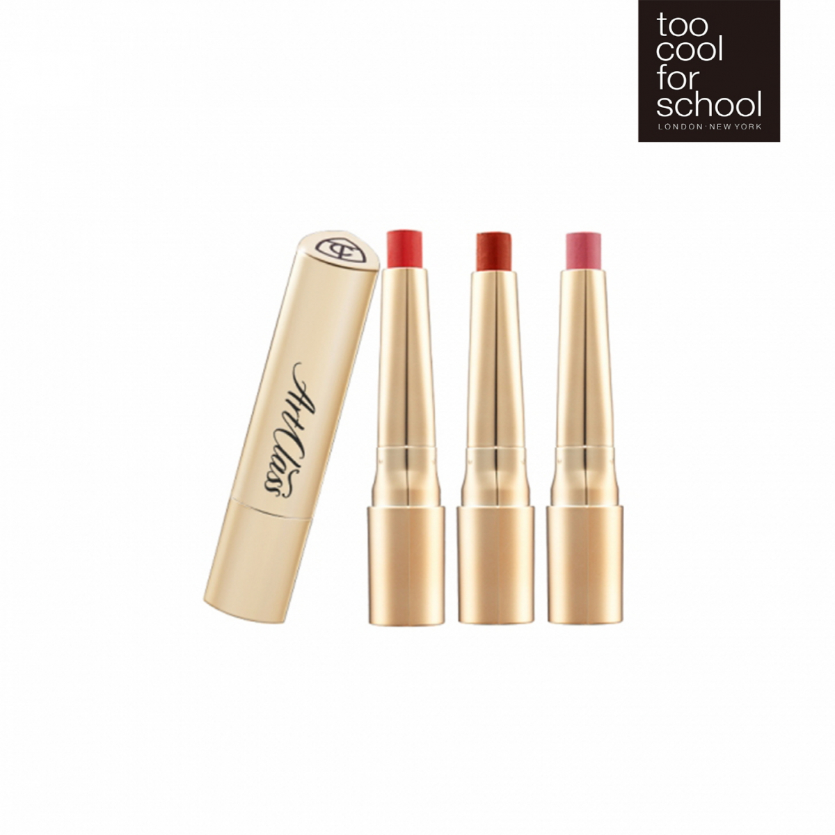 (사진제공=투쿨포스쿨)