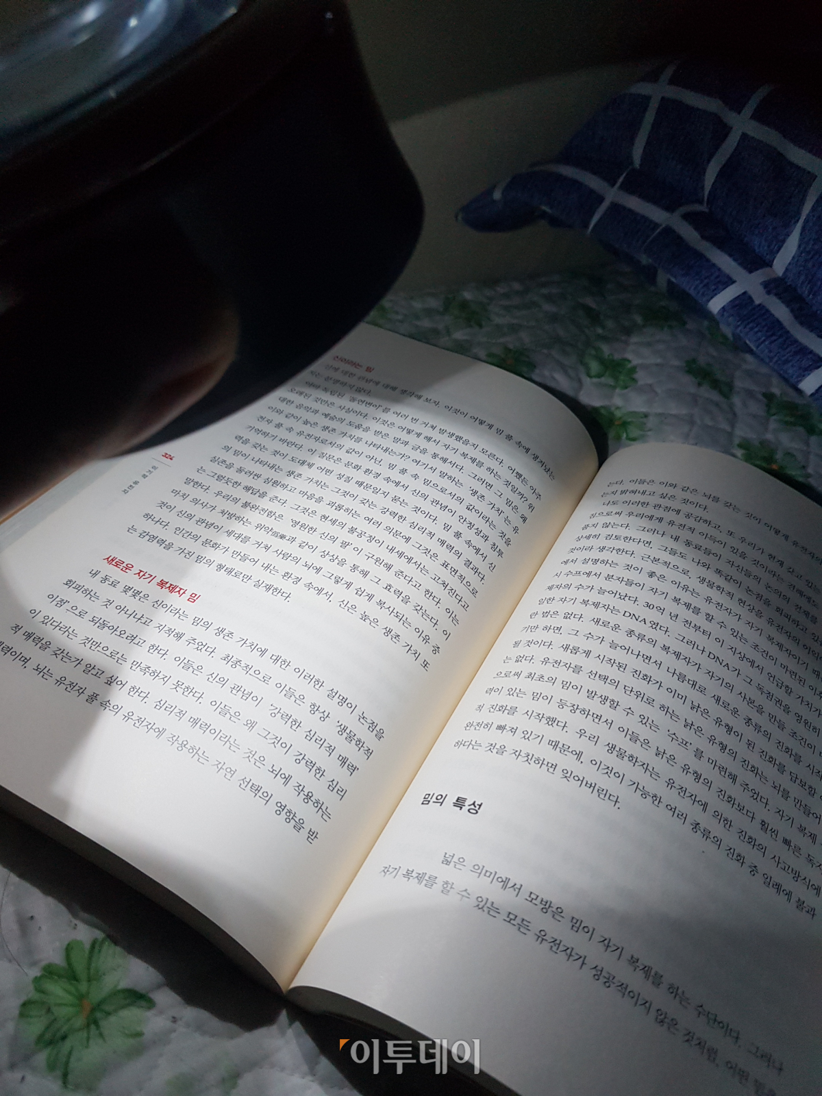 ▲응? 이렇게 들고 보니까 더 잘보이는데? 손전등을 살 걸 그랬나.... (김정웅 기자 cogito@)