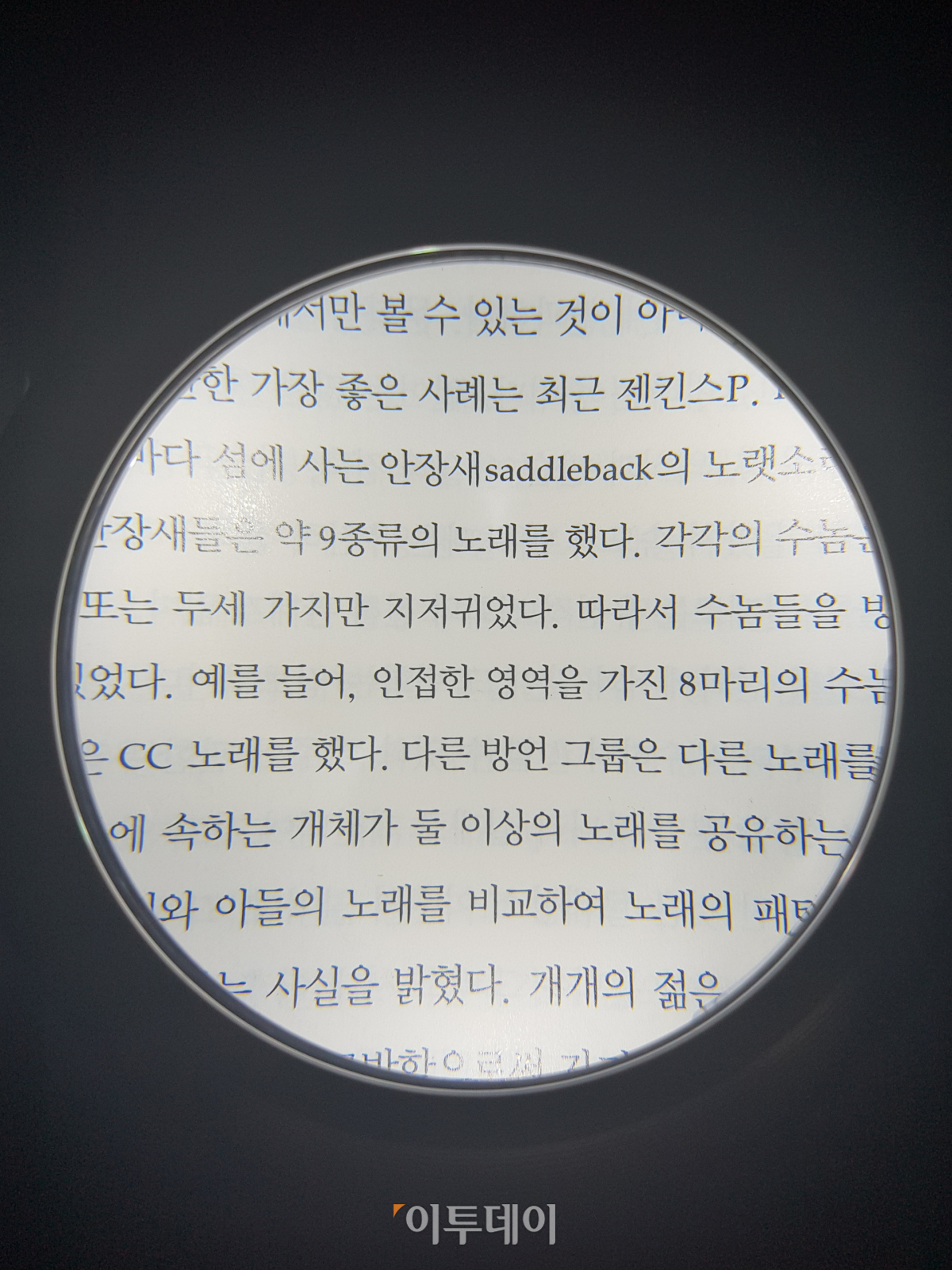 ▲책의 집중도가 높아지는 효과도 있지만, 보다시피 한 줄이 채 안들어오는 크기다. (김정웅 기자 cogito@)