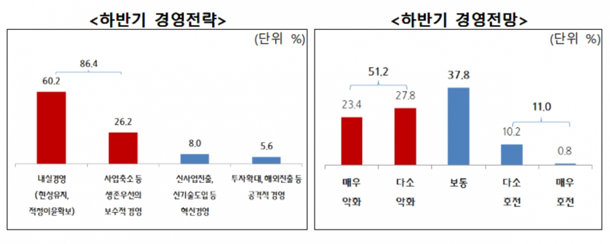 ▲하반기 경영전략과 경영전망(자료제공=중기중앙회)