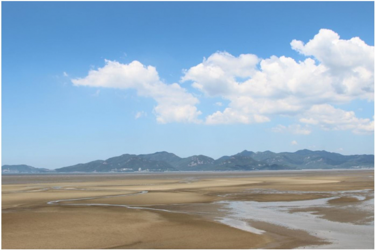 ▲고창갯벌 전경.(출처=고창군)