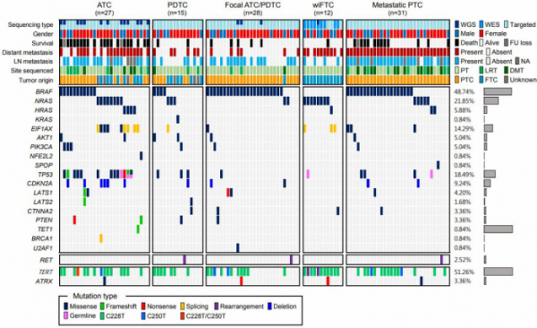 ▲한국인 113명의 미분화 및 진행성 분화 갑상선암 DNA 분석 결과. 텔로미어 길이 유전자(TERT)와 발암 유전자(AKT1, PIK3CA, EIF1AX)의 변이는 미분화 및 진행성 분화 갑상선암 모두에서 관찰되고, 암 억제 유전자(TP53, CDKN2A 등)의 변이는 미분화 갑상선암에서만 매우 높은 빈도로 확인되었다.(마크로젠)