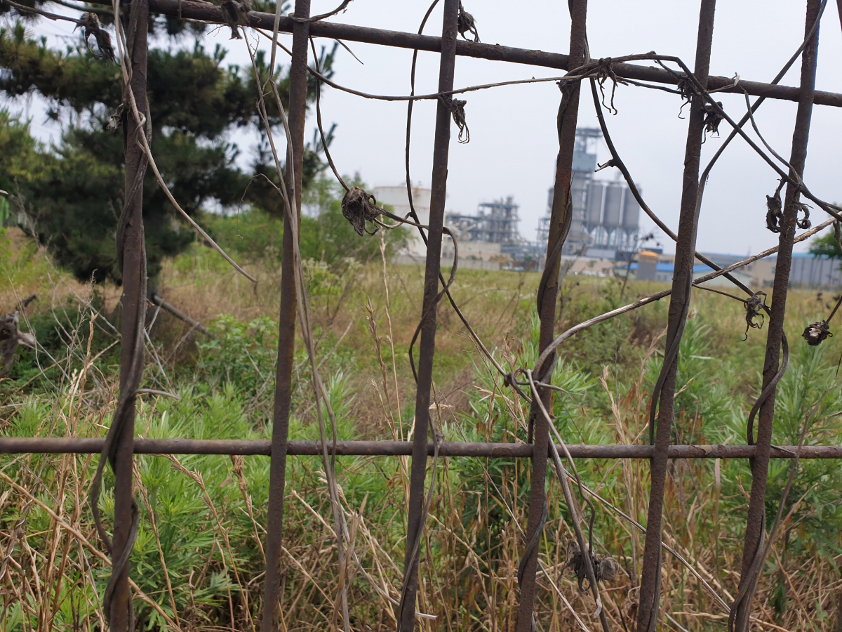 ▲군산 국가산업단지의 텅 빈 부지. 녹슨 철책 뒤로 잡초가 무성하다.(군산 = 김벼리 기자 kimstar1215@)