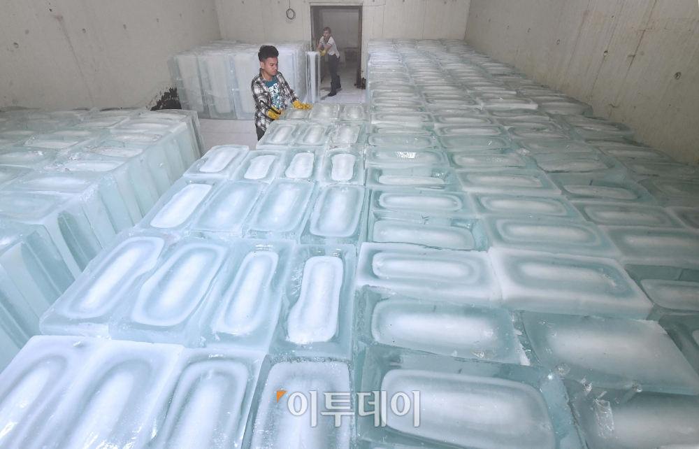 (신태현 기자 holjjak@)