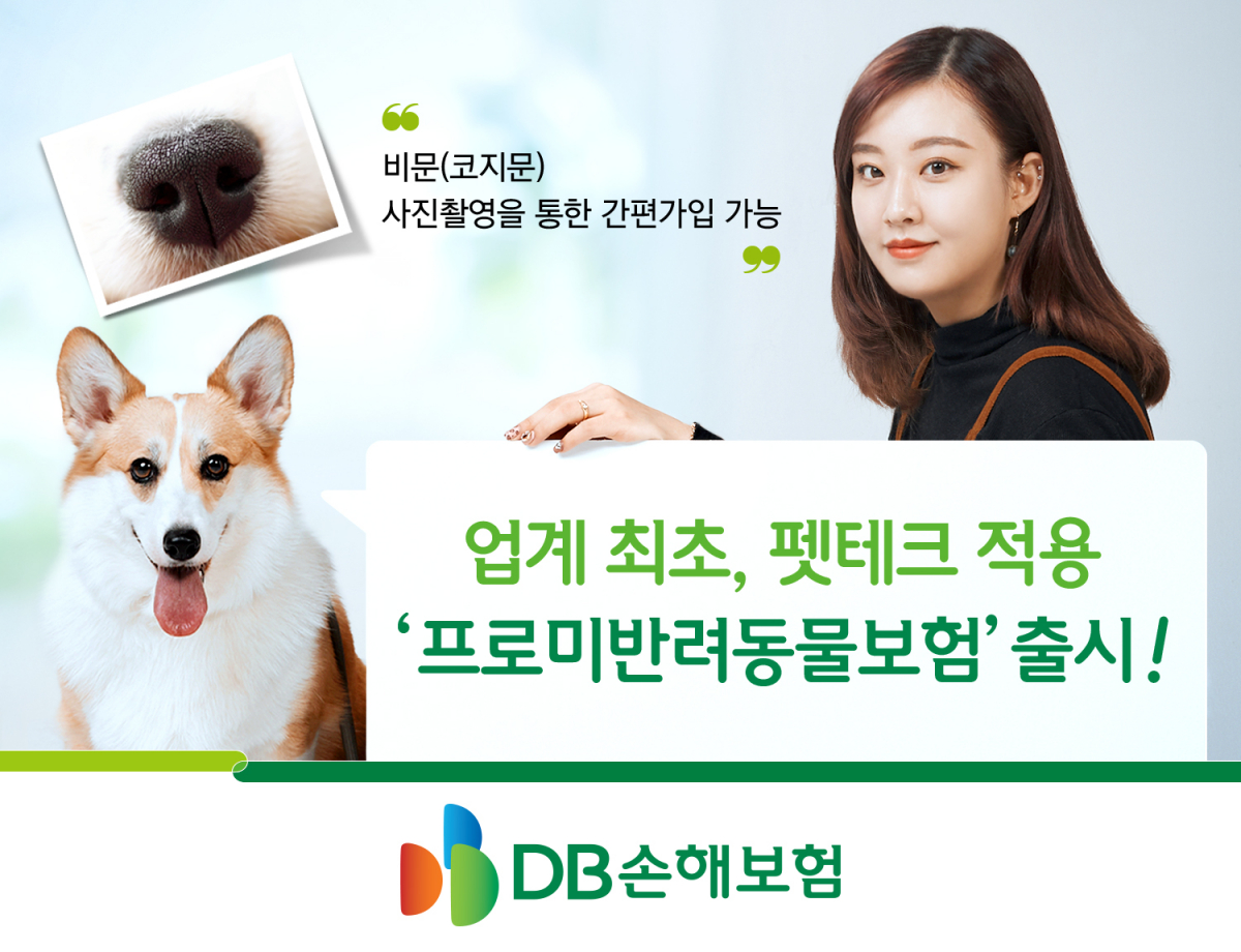 (사진제공=DB손해보험)