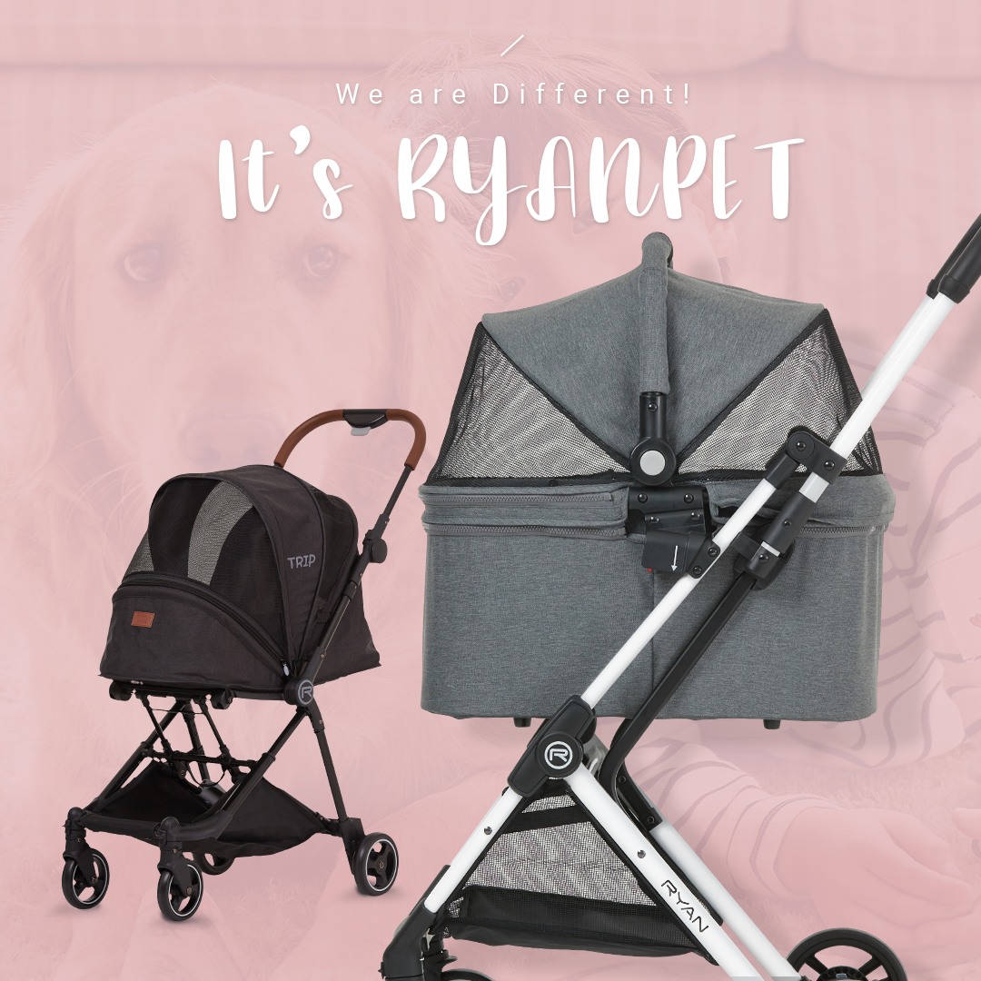 (사진제공=리안펫)