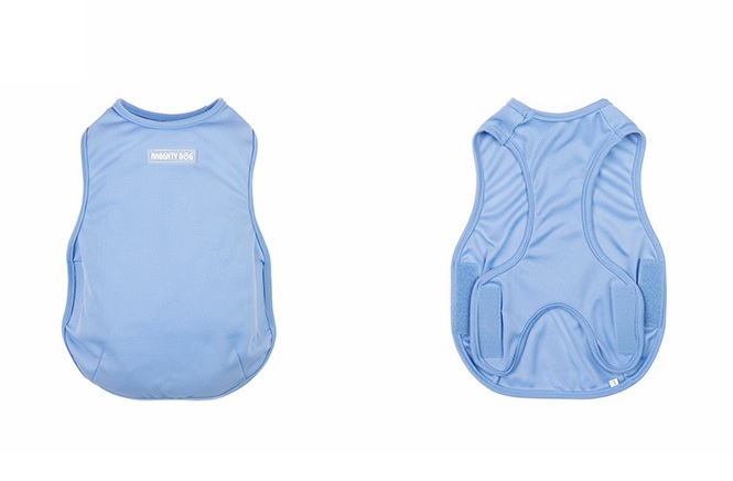 ▲노타독 애견 쿨조끼 (사진제공=G마켓)