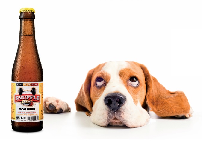 ▲스너플 도그비어(사진제공=G마켓)