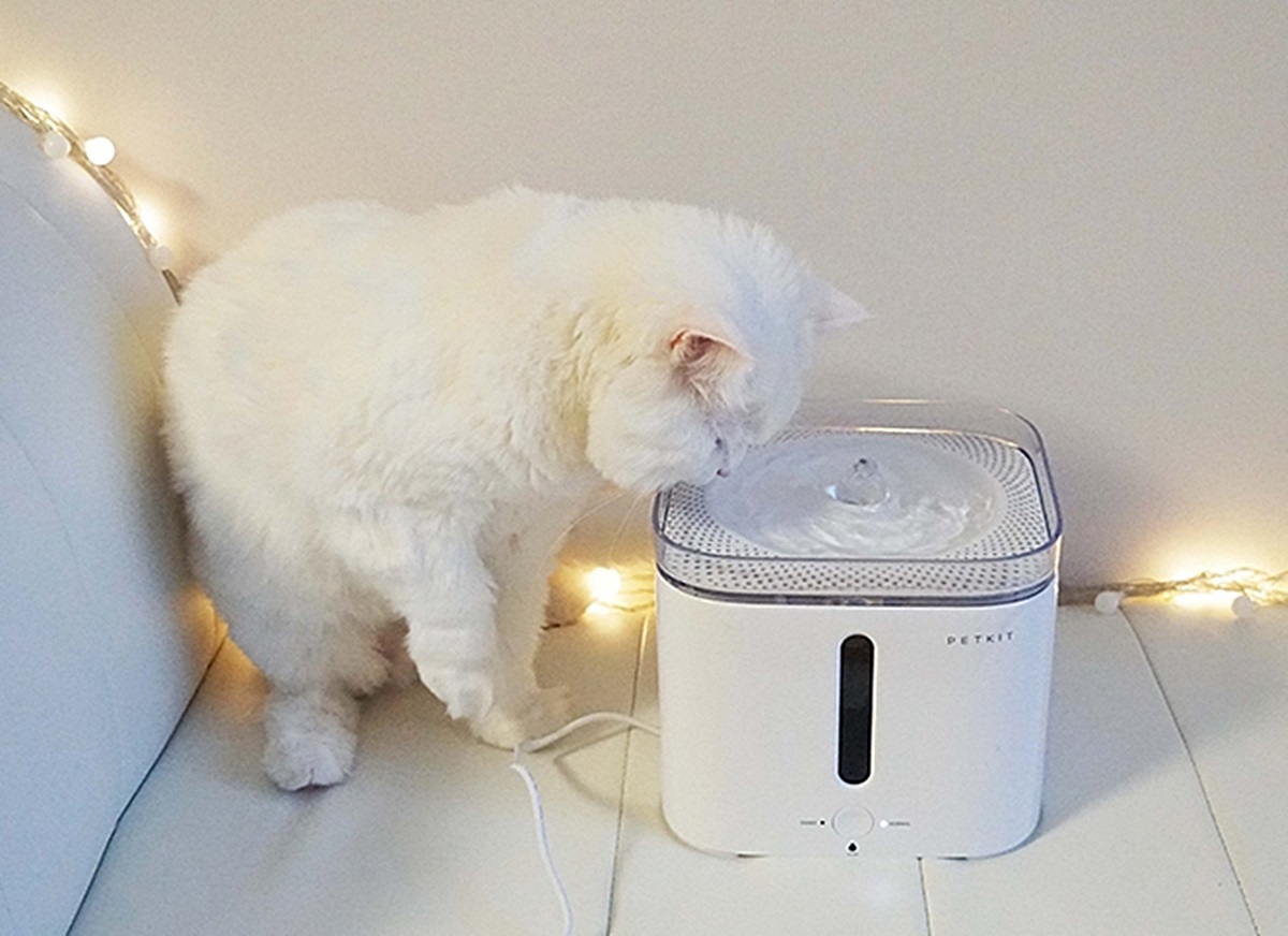 ▲펫킷 챠밍 스마트 정수기.(사진제공=롯데홈쇼핑)