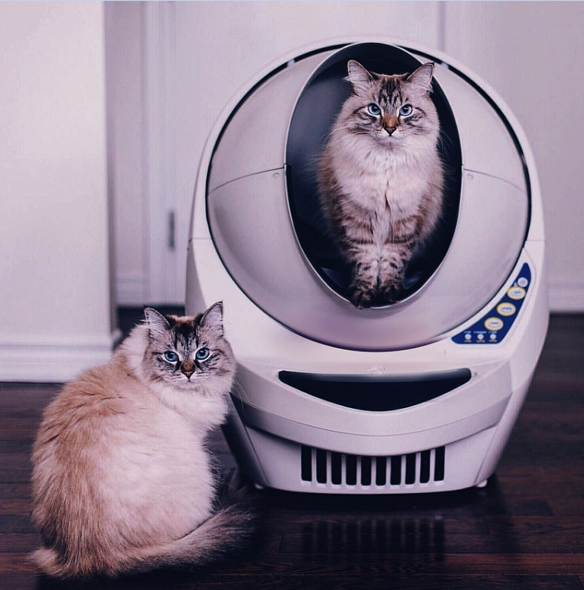 ▲리터로봇 오픈에어.(사진제공=롯데홈쇼핑)