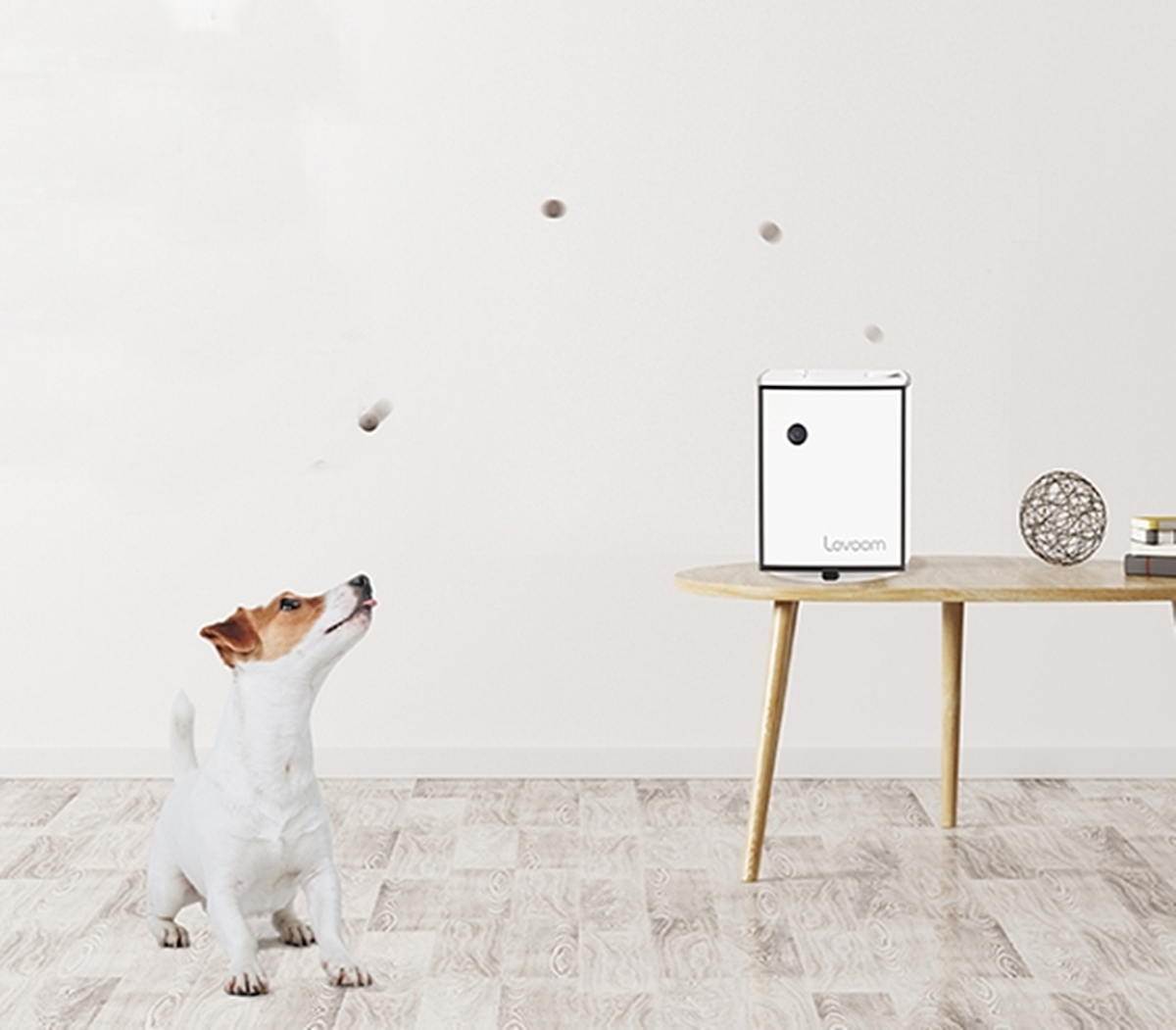 ▲러붐 스마트 펫 카메라.(사진제공=롯데홈쇼핑)