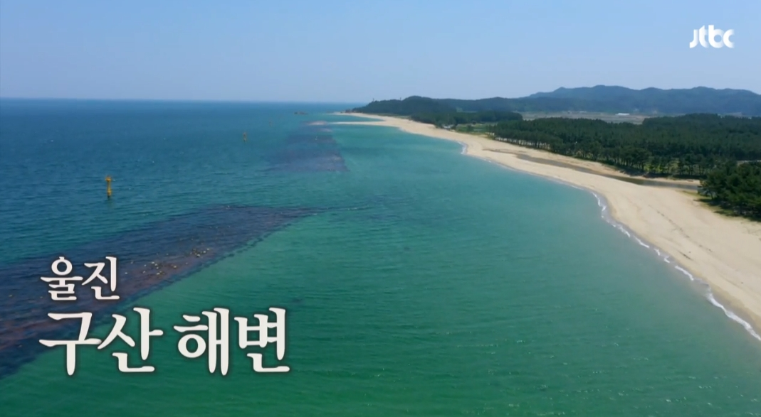 (출처=JTBC 방송 캡ㅊㅓ)