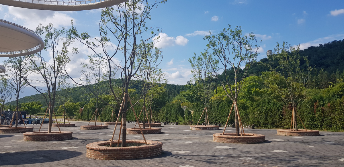 ▲난지 이용숲.(출처=서울시)