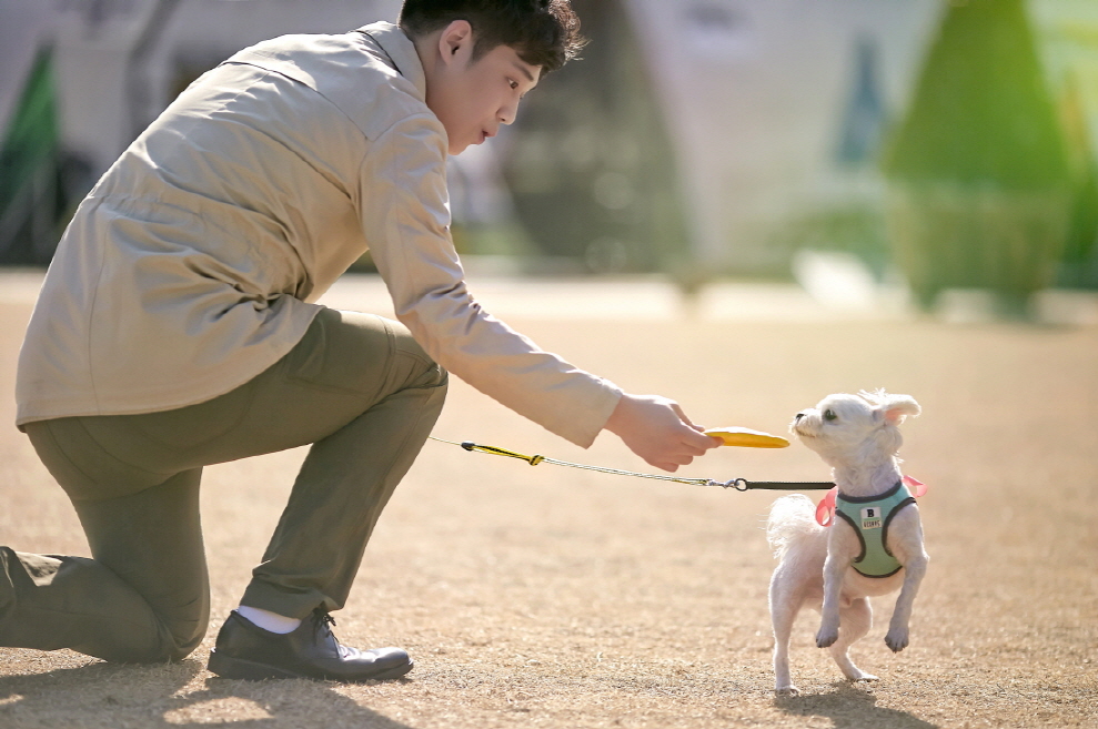 ▲반려동물행동 교정사가 맞춤형 펫 케어 서비스를 제공하는 ‘리프레시 유어 펫’ 프로그램.(사진제공=비스타 워커힐 서울)