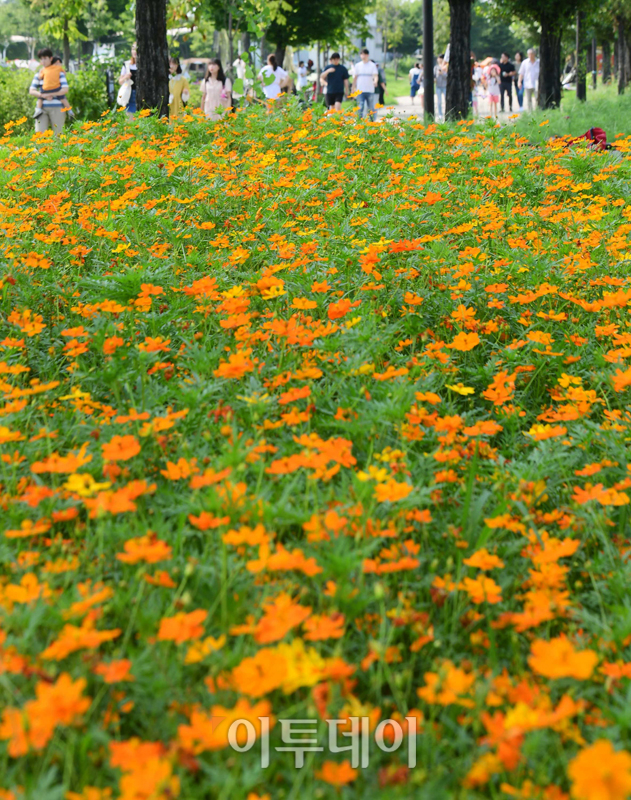 (고이란 기자 photoeran@)