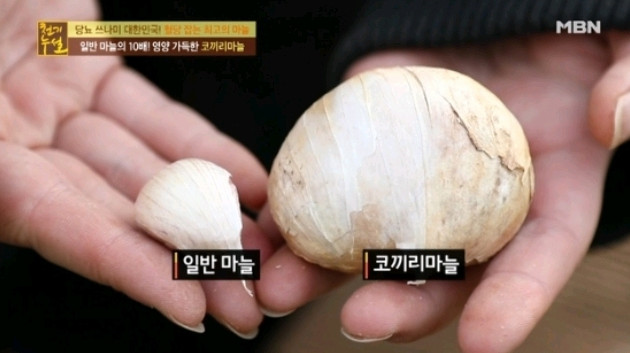 (출처=MBN '천기누설' 방송캡처)